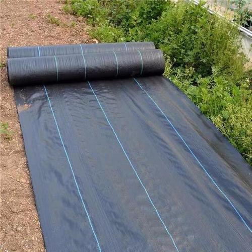 营养防水500g两布一膜土工布