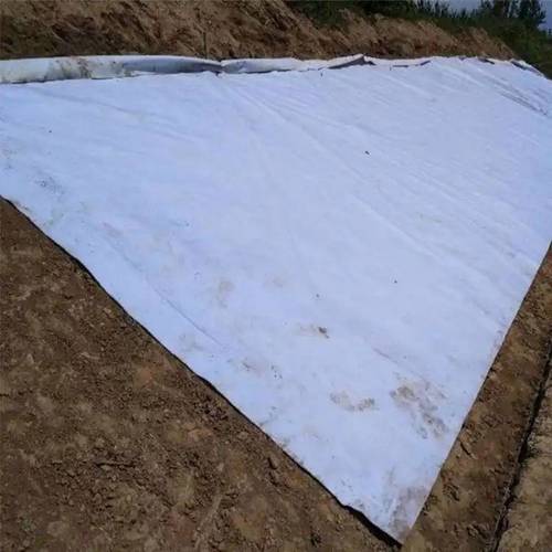 2026 年土工布专业工厂选哪家:专业测评年度推荐
